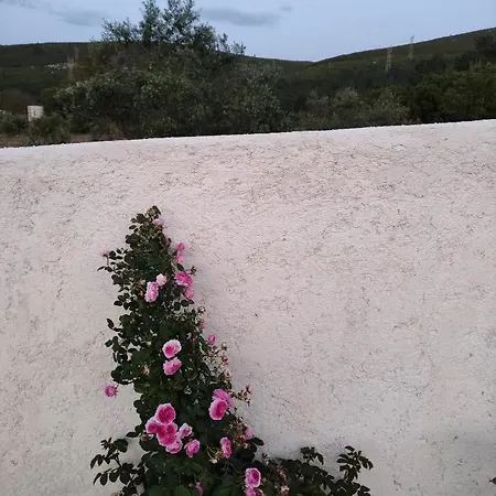 Casa Dos Vales 11 Villa