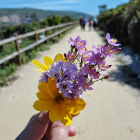 Casa Dos Vales 11 Порту-ди-Мош