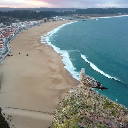 Casa Dos Vales 11 Willa Porto de Mós