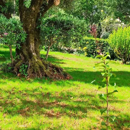 Casa Dos Vales 11 Willa *