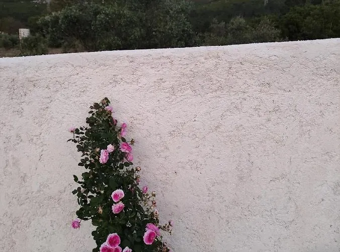 Casa Dos Vales 11 Villa