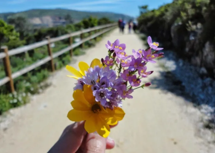 Casa Dos Vales 11 Porto de Mós