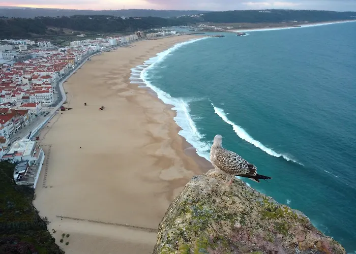 Casa Dos Vales 11 Villa Porto de Mós