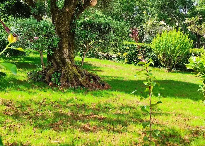 Casa Dos Vales 11 Villa *